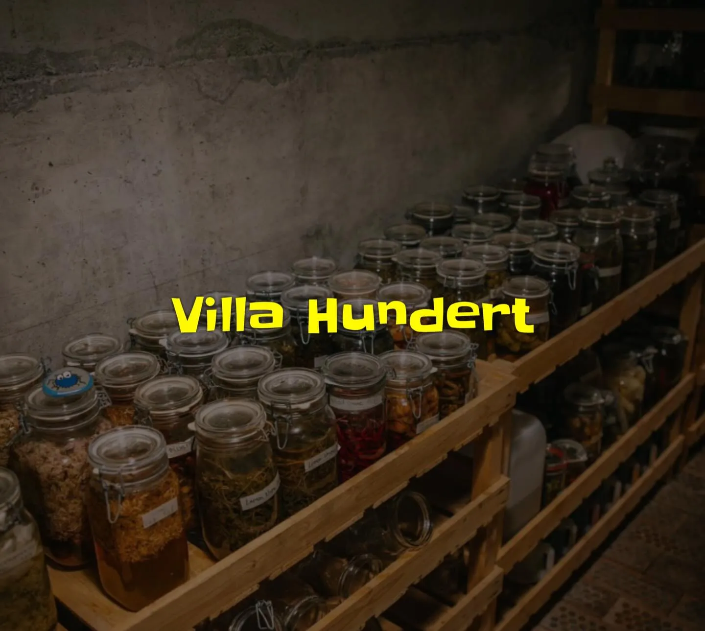 Villa Hundert: luxuriös, aber ohne Allüren